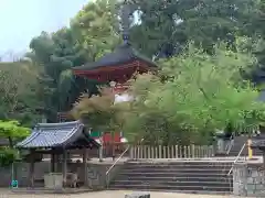 金剛寺の建物その他