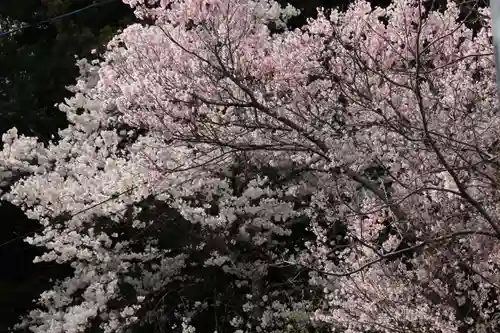 若草木神社の自然