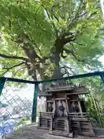 正覚院(広島県)