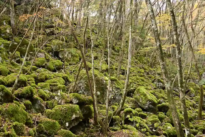 黒松寺(徳島県)