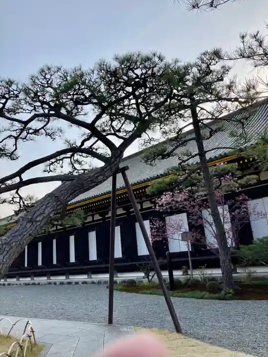 蓮華王院(三十三間堂)(京都府)