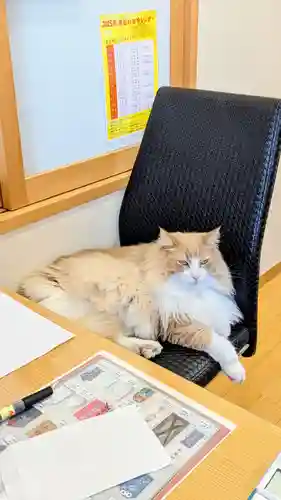 駒込妙義神社の動物