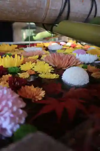 石清水八幡宮の手水舎