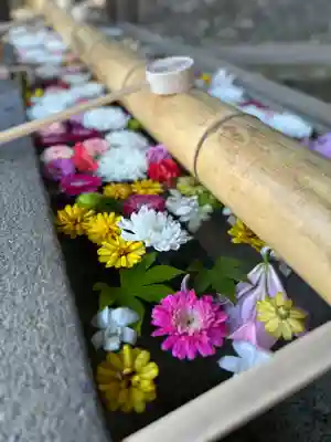 群馬県護国神社(群馬県)