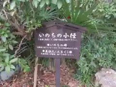 大安寺の建物その他