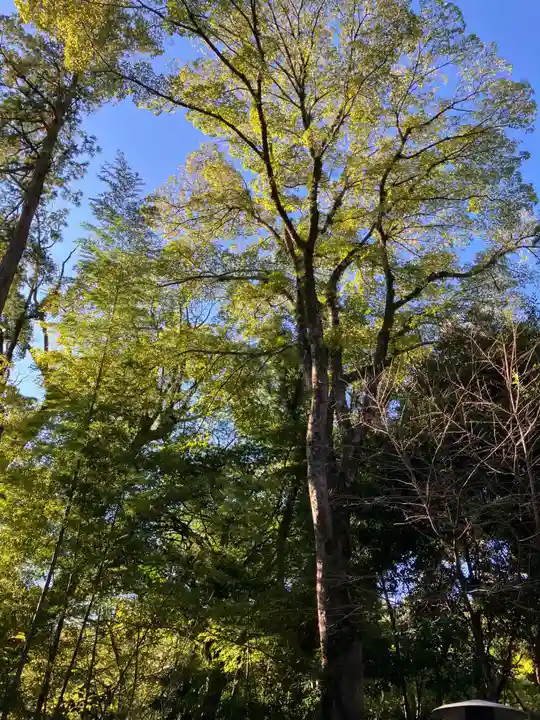 來宮神社(静岡県)