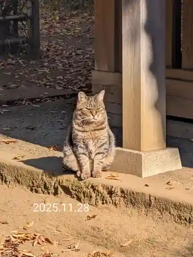 白幡八幡神社(神奈川県)