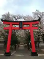 菅原神社の{uncategorized: "未分類", other: "その他", undefined: "問題あり", building: "その他建物", grave: "お墓", sacred_gate: "鳥居", guardian: "狛犬", statue: "像", buddha: "仏像", history: "歴史", nature: "自然", garden: "庭園", animal: "動物", pagoda: "塔", temizu: "手水舎", mountain_gate: "山門・神門", sanctuary: "本殿・本堂", subordinate: "末社・摂社", art: "芸術", scenery: "景色", jizo: "地蔵", ema: "絵馬", goshuin: "御朱印", omikuji: "おみくじ", items: "授与品その他", amulet: "お守り", goshuincho: "御朱印帳", eats: "食事", festival: "お祭り", votive_dance: "神楽", shichigosan: "七五三参", wedding: "結婚式", experience: "体験その他", initially: "初詣", around: "周辺", anti_infection: "感染症対策"}