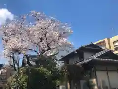 専称寺の建物その他