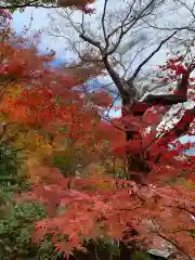 華厳寺（鈴虫寺）(京都府)