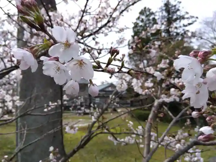 日吉神社(福井県)