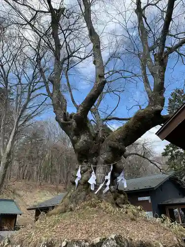 熊野皇大神社(長野県)