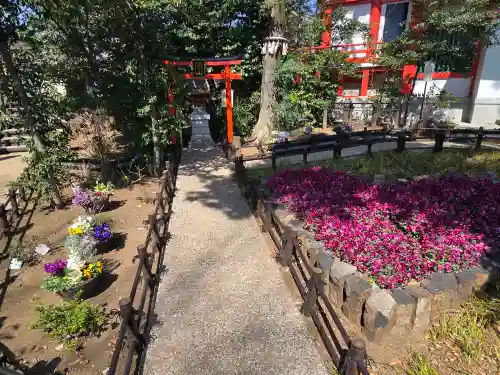 川越八幡宮の{uncategorized: "未分類", other: "その他", undefined: "問題あり", building: "その他建物", grave: "お墓", sacred_gate: "鳥居", guardian: "狛犬", statue: "像", buddha: "仏像", history: "歴史", nature: "自然", garden: "庭園", animal: "動物", pagoda: "塔", temizu: "手水舎", mountain_gate: "山門・神門", sanctuary: "本殿・本堂", subordinate: "末社・摂社", art: "芸術", scenery: "景色", jizo: "地蔵", ema: "絵馬", goshuin: "御朱印", omikuji: "おみくじ", items: "授与品その他", amulet: "お守り", goshuincho: "御朱印帳", eats: "食事", festival: "お祭り", votive_dance: "神楽", shichigosan: "七五三参", wedding: "結婚式", experience: "体験その他", initially: "初詣", around: "周辺", anti_infection: "感染症対策"}