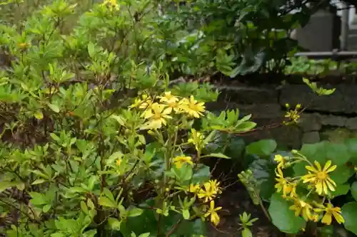白山媛神社(新潟県)