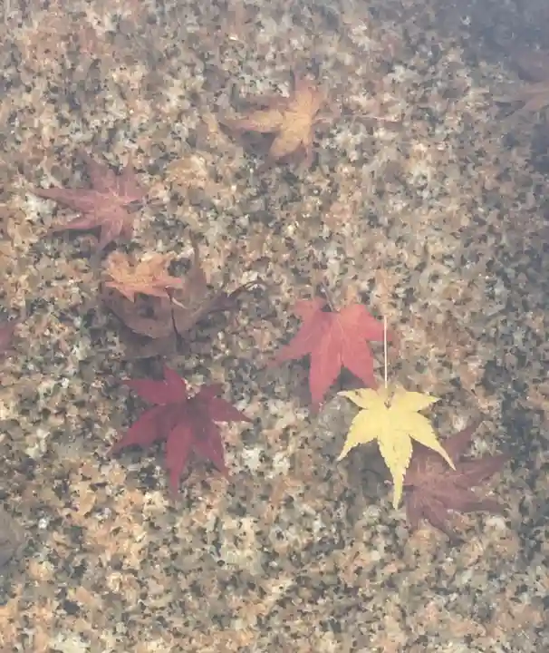 東福禅寺(東福寺)(京都府)