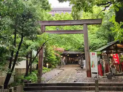 洲嵜神社の鳥居