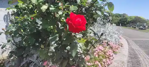 本牧神社(神奈川県)