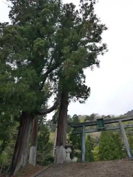 妙義神社(群馬県)
