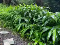 愛宕神社の自然