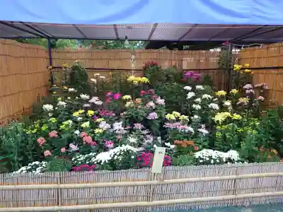 宗像大社(福岡県)