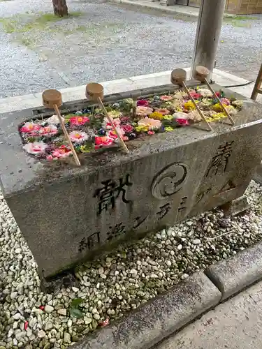 函館八幡宮の手水舎