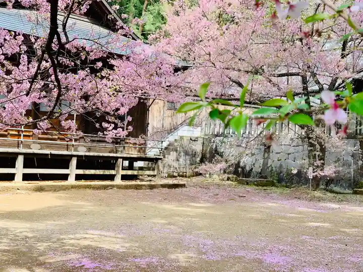 土津神社|こどもと出世の神さまの自然