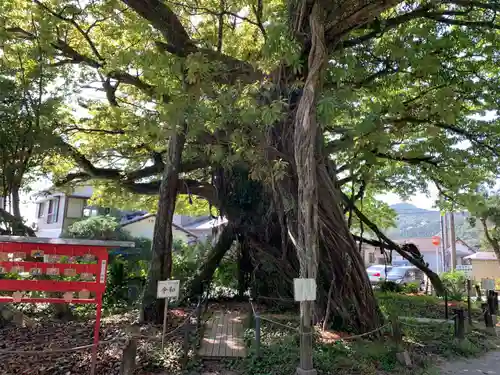 野島神社の自然