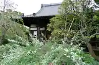 宝戒寺の庭園