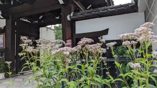 行願寺（革堂）(京都府)