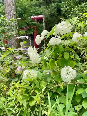駒形神社(箱根神社摂社)(神奈川県)