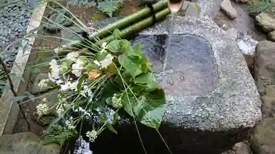 大徳寺の手水舎