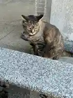 宝泉寺(神奈川県)