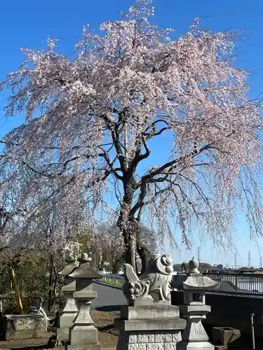 神明神社(埼玉県)