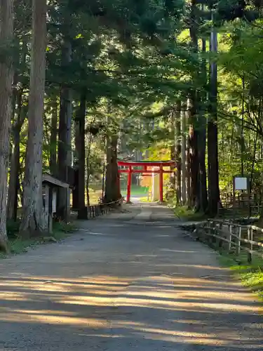 白山神社の鳥居