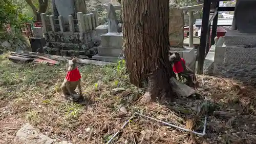 伏見豊川稲荷本宮(京都府)