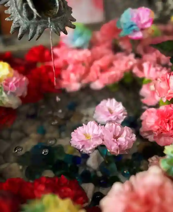 札幌諏訪神社の手水舎