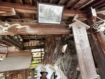 松尾大社(京都府)