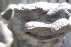 白金氷川神社の狛犬