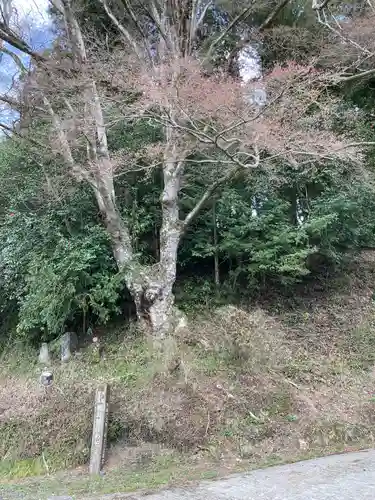 鹿島神社(栃木県)