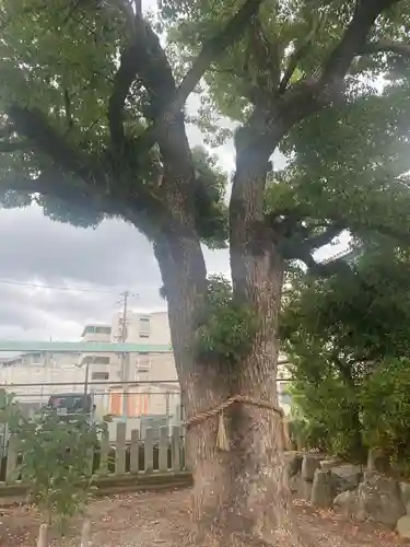鹿島神社(大阪府)