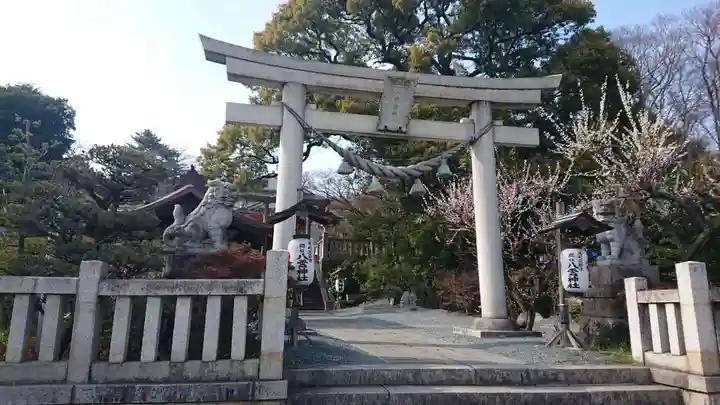 八雲神社(緑町)の鳥居