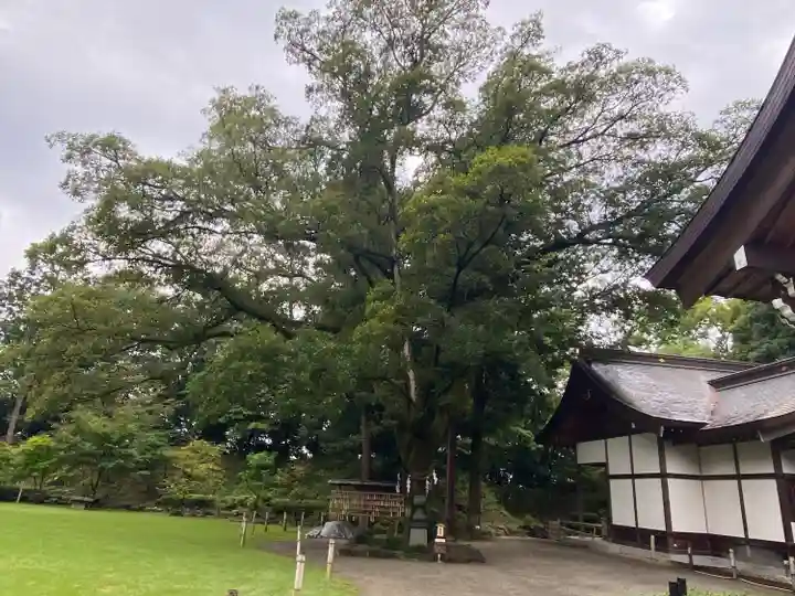 武田神社の庭園
