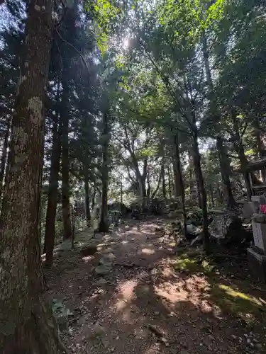 太龍寺奥の院 舎心ヶ嶽(徳島県)