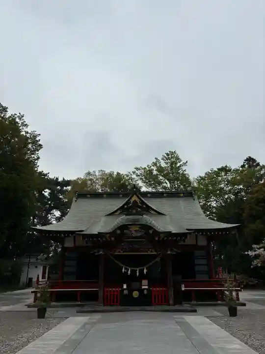 玉村八幡宮の{uncategorized: "未分類", other: "その他", undefined: "問題あり", building: "その他建物", grave: "お墓", sacred_gate: "鳥居", guardian: "狛犬", statue: "像", buddha: "仏像", history: "歴史", nature: "自然", garden: "庭園", animal: "動物", pagoda: "塔", temizu: "手水舎", mountain_gate: "山門・神門", sanctuary: "本殿・本堂", subordinate: "末社・摂社", art: "芸術", scenery: "景色", jizo: "地蔵", ema: "絵馬", goshuin: "御朱印", omikuji: "おみくじ", items: "授与品その他", amulet: "お守り", goshuincho: "御朱印帳", eats: "食事", festival: "お祭り", votive_dance: "神楽", shichigosan: "七五三参", wedding: "結婚式", experience: "体験その他", initially: "初詣", around: "周辺", anti_infection: "感染症対策"}