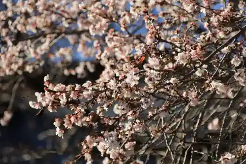 鹿島大神宮の庭園