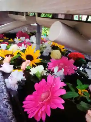 鳩森八幡神社の手水舎