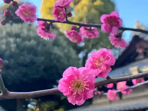 大國魂神社(東京都)