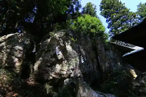 鹿島大神宮の自然