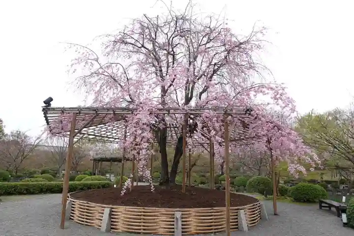 東寺(教王護国寺)(京都府)