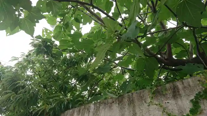 尾張猿田彦神社の自然